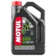 Масло MOTUL 5100 4T 15w50 - 4 литра